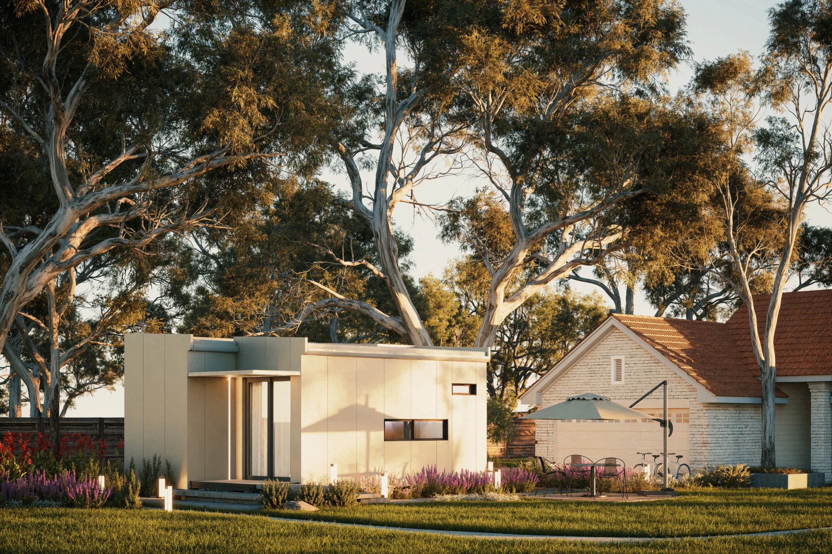 The Studio under gum trees in late afternoon light